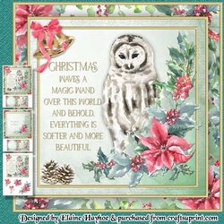 Snowy Owl Mini Kit