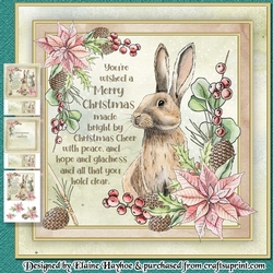 Rabbit Mini Kit