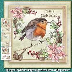 Robin Redbreast Mini Kit