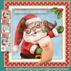 Santa Mini Kit