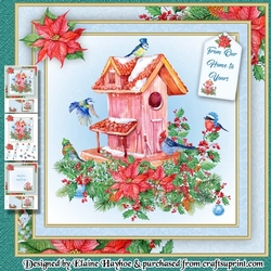 Birdhouse Christmas Mini Kit
