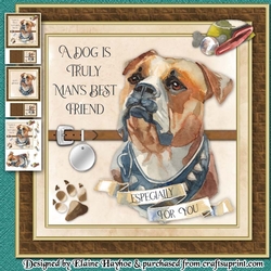 American Bulldog Mini Kit