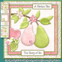 A Perfect Pair - The Story of Us Mini Kit