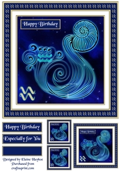 Aquarius Quick Card Front