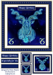 Capricorn Quick Card Front