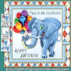 Age is Irr...elephant Mini Kit