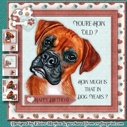 Dog Years Birthday Mini Kit