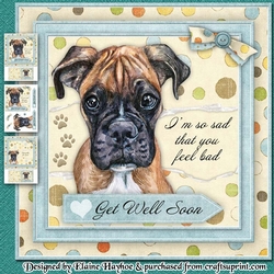 Doggy Get Well Soon Mini Kit
