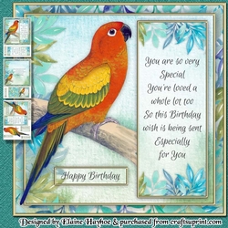 Parakeet Birthday Mini Kit