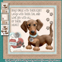 Dogs Smile Mini Kit