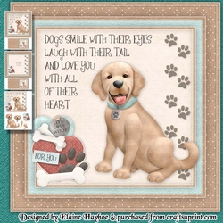 Yellow Labrador Mini Kit
