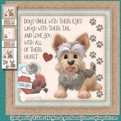 Yorkie Mini Kit
