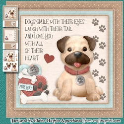 Cute Little Pug Mini Kit