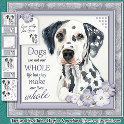 Dalmatian Mini Kit