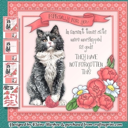Cats Were Worshipped Mini KIt
