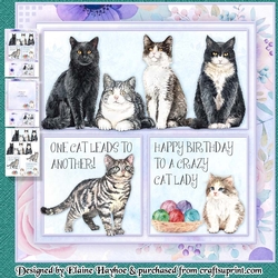 Crazy Cat Lady Mini Kit