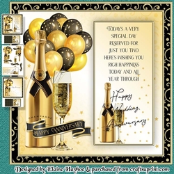 Anniversary Champagne Mini Kit