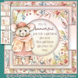 Country Mouse Mini Kit