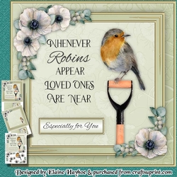 Robins Appear Mini Kit