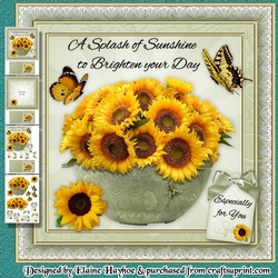 A Splash of Sunshine