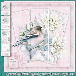 Beautiful Bird Mini Kit