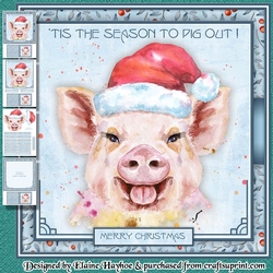 Christmas Pig Mini Kit