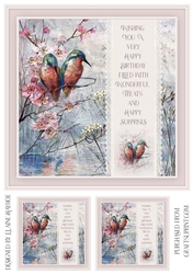 Kingfisher Quick Card Front