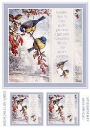 Blue Tits Quick Card Front