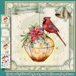 Cardinal Mini Kit