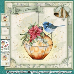 Fairy Wren Mini Kit