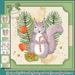 Squirrel Christmas Mini Kit