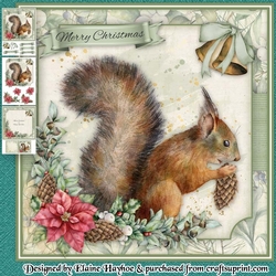 Red Squirrel Christmas Mini Kit