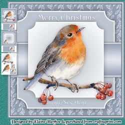 Woodland Robin Mini Kit