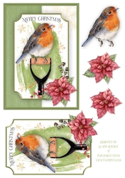 Garden Robin 5x7 Card Front