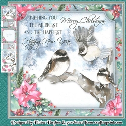 Forest Bird Family Mini Kit