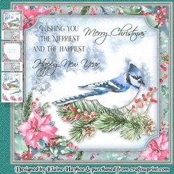 Forest Blue Jay Mini Kit