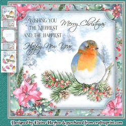 Ruffled Robin Mini Kit