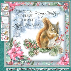 Forest Squirrel Mini Kit