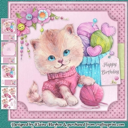 Kittens Love Wool 2 Mini Kit