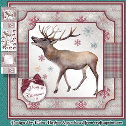 Mens Christmas Mini Kit