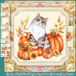 Pumpkin Puss Mini Kit