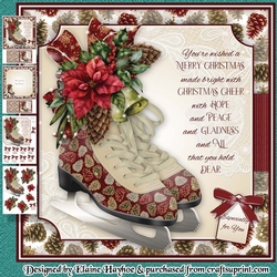 Ice Skates Mini Kit