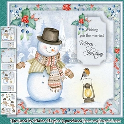 Snow Buddies Mini Kit