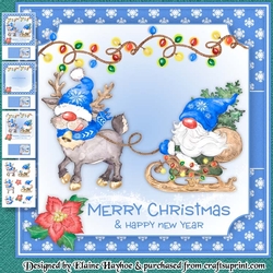 Blue Gnome Christmas Mini Kit