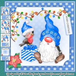 Robin and Gnome Mini Kit