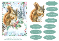 5x7 Squirrel 1 Christmas Card Front