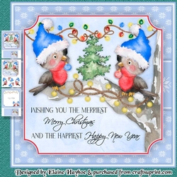 Robin Couple Mini Kit