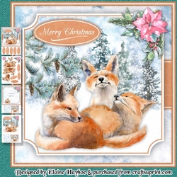Woodland Foxes Mini Kit