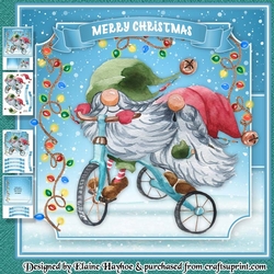 Gnomes on a Trike Mini Kit