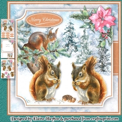 Squirrel Feast Mini Kit